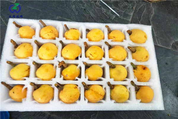 對(duì)于定制水果內(nèi)托的珍珠棉，你了解多少呢？