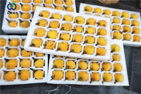 常見的水果內(nèi)托定做材料是什么？